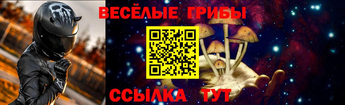Псилоцибиновые грибы мицелий Курчатов
